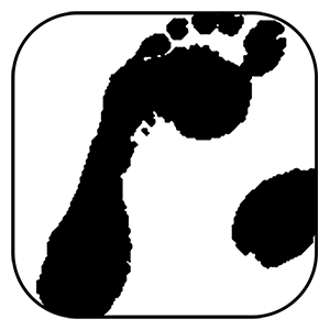 wmojejokolicy.pl — logo